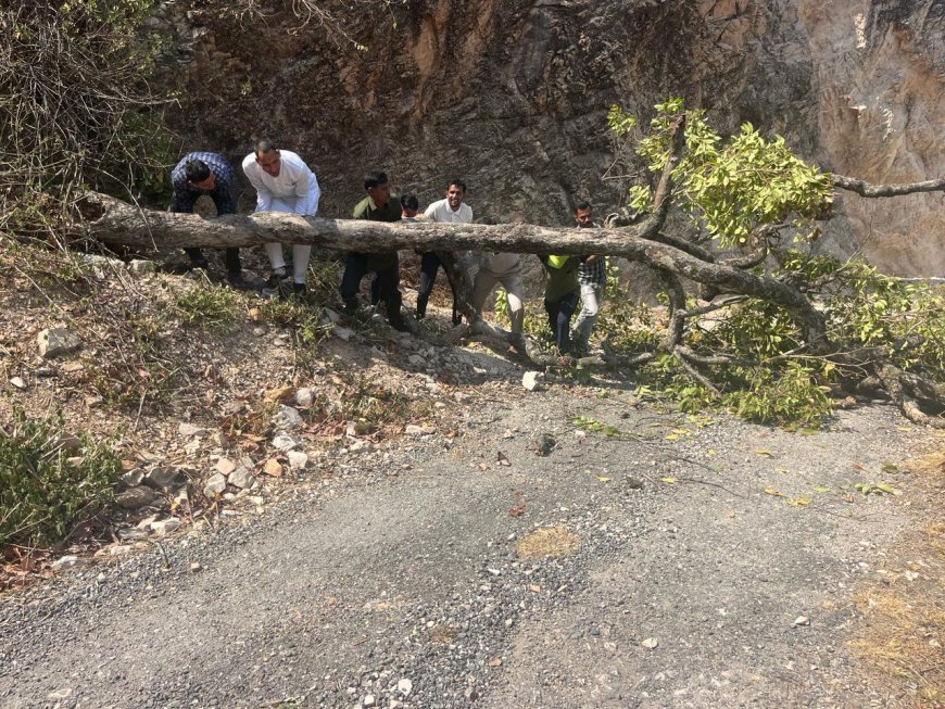 भीमताल विधानसभा क्षेत्र में सड़क से परलोक का रास्ता, अधिकारियों को क्यों नहीं कोई चिंता